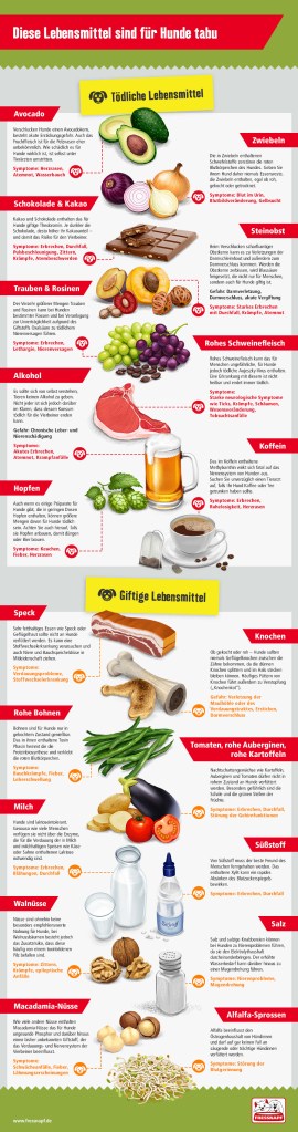 Giftige-Lebensmittel-fuer-den-Hund