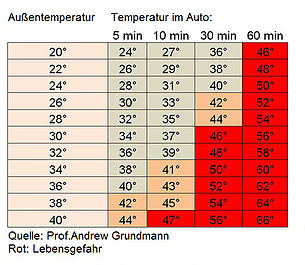 Tabelle Hitzschlag beim Hund gefährliche Temperaturen
