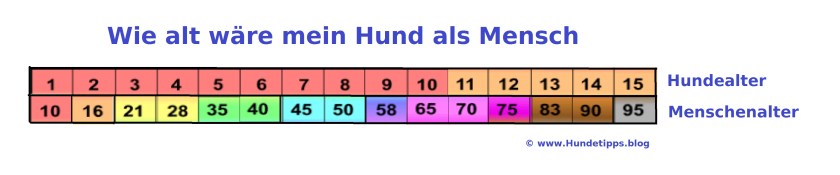 Umrechnungstabelle Hundejahre in Menschenjahre
