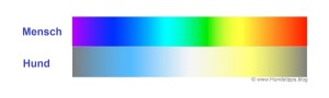 Wie sieht ein Hund Farben?