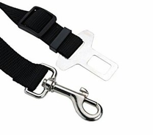 IMG_20180206_110301_196